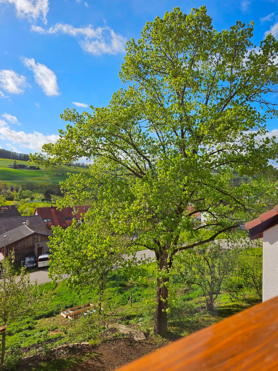 Seminarraum-Kienberg-Breathwork-Ausbildung-Ausblick