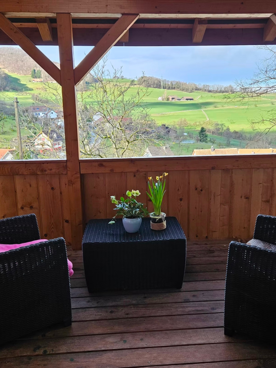 Seminarraum-Kienberg-Breathwork-Ausbildung-Balkon